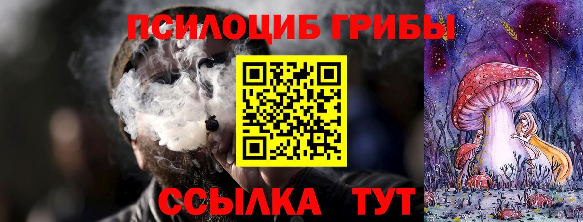 Галлюциногенные грибы прущие грибы Большой Камень